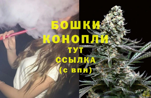 ALPHA PVP Заволжье