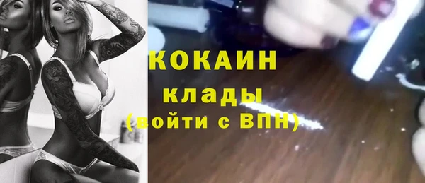 мяу мяу мука Иннополис