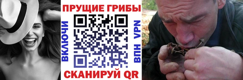 Псилоцибиновые грибы мухоморы  Купить где  Ладушкин 